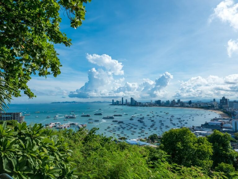 Pattaya bay and waterfront viewed from a hillside